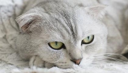 开云网站-中国足球国际合作不断深化，推动青训输出与交流，中国足球青训体系是什么